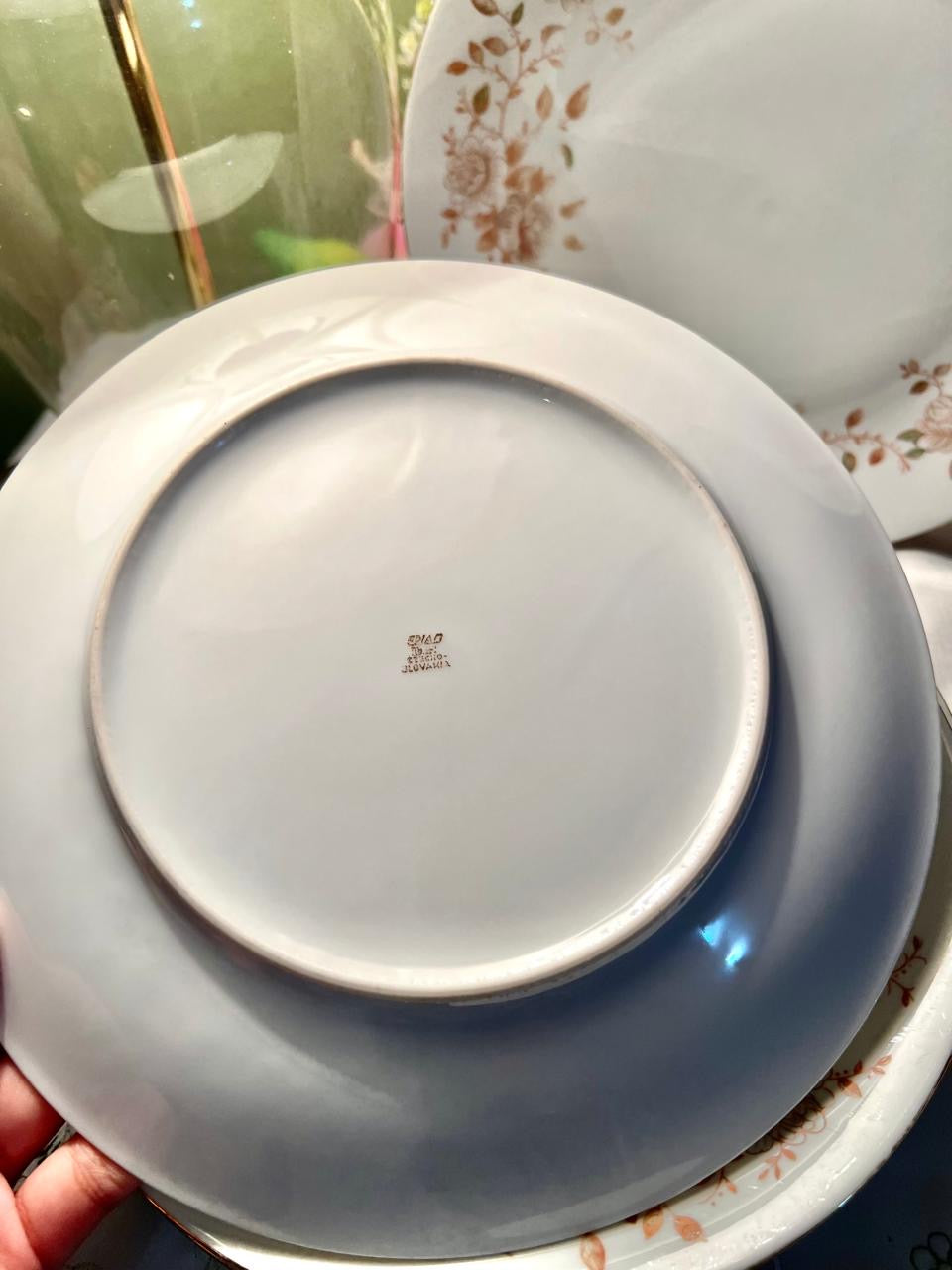 6-Piece Peach Floral Dinner Plate Set 9.5 in Made in England