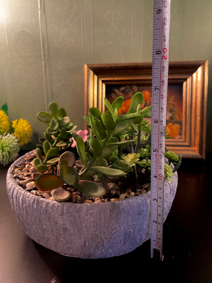 Large Artificial Succulent Garden in Grey Bowl Planter 7 Inch