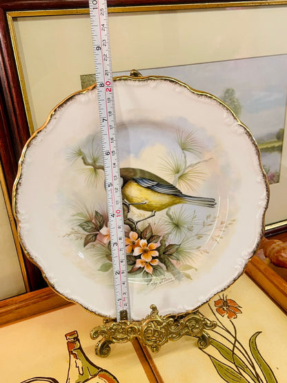 Royal Albert Woodland Birds Collection “Blue Titmouse” Art Plate – Bone China – 1982