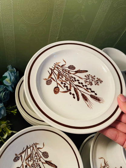 Country Lane J & G Meakin Botanical Tea Set 21 Piece
