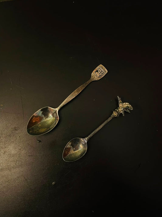 Vintage Souvenir Silverplate Spoon Set of 2 Collectible Spoons