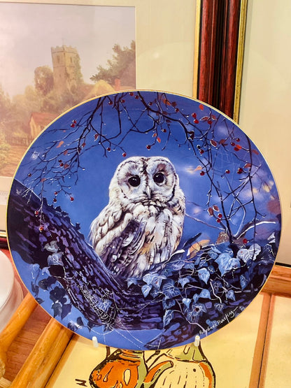 Wedgwood Midnight Hunter Owl Plate – Limited Edition 8” Collectible
