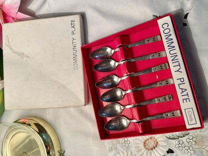 Community Plate Silver-Tone Teaspoons Set of 6 – Boxed