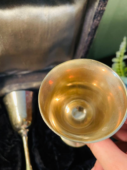 Vintage Silver Plated Goblets Set in Box 5 Inch