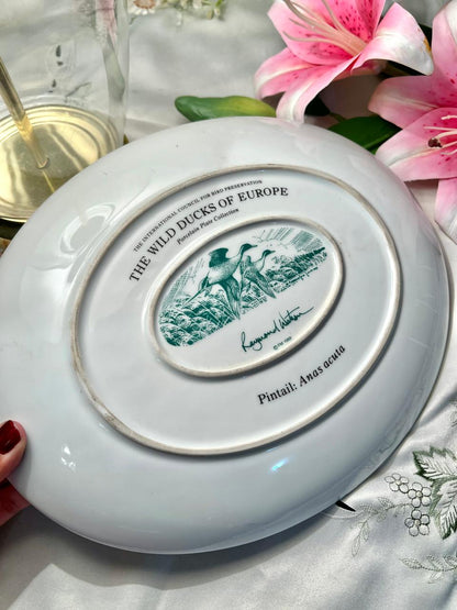 Wild Ducks of Europe Pintail Porcelain Plate 12 in