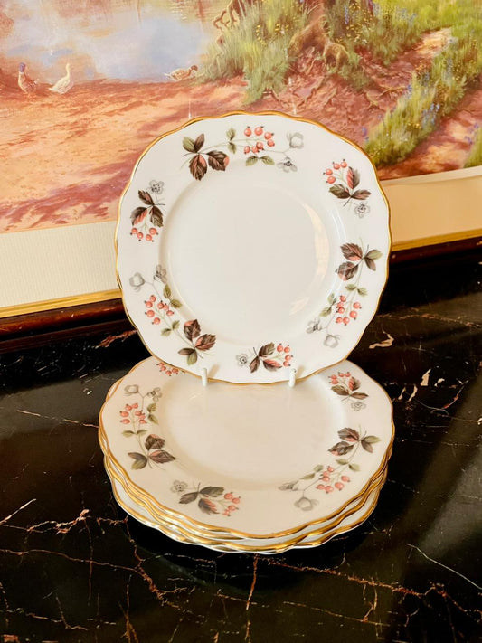 Set of 5 Colclough Bone China Plates – Red Berry & Gold Rim (England)