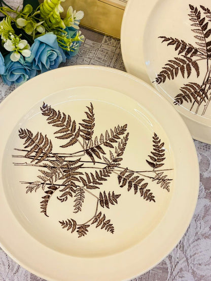 Royal Victoria Wild Garden Dinner Plates – Set of 6 Vintage