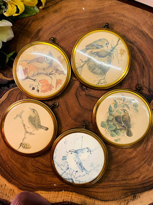 Vintage Round Framed Bird Wall Art Plaques