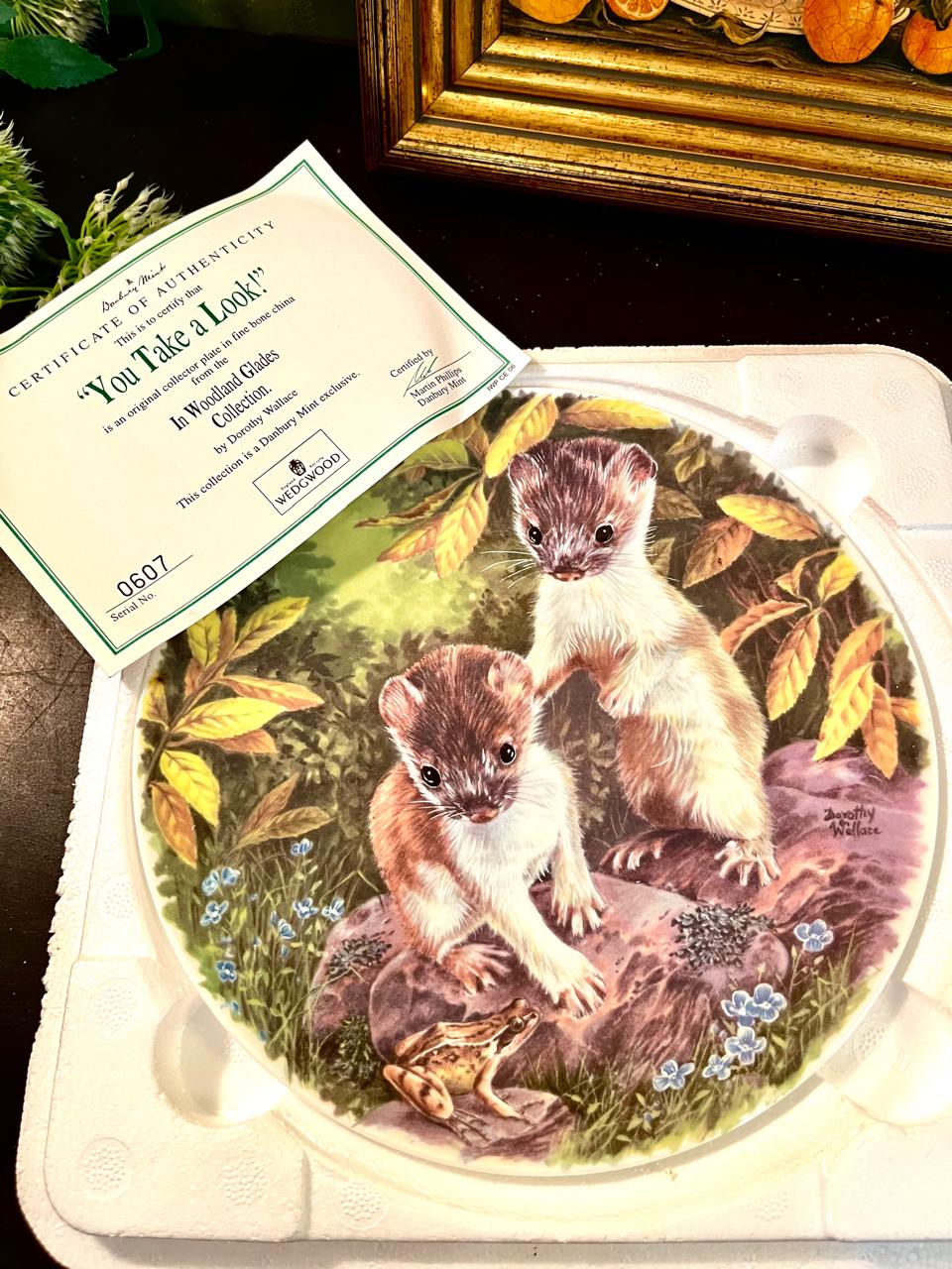 Wedgwood Boxed Decorative Plate Danbury Mint Woodland Glades Stoat Plate 20 cm