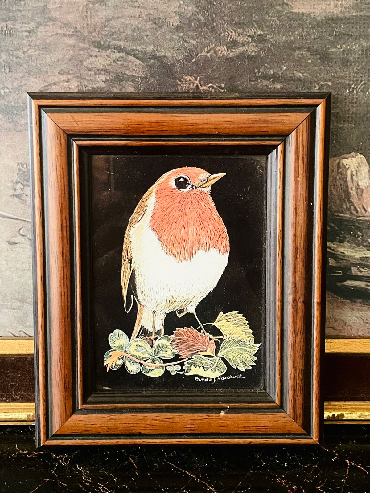 vintage bird art, robin framed artwork, Pamela Hardwick Tomatin, English countryside decor, vintage wall frame, wooden frame art England, collectible British art, home decor Pakistan, nature bird wall decor, cottagecore wall art, thrift find Pakistan, European vintage collection