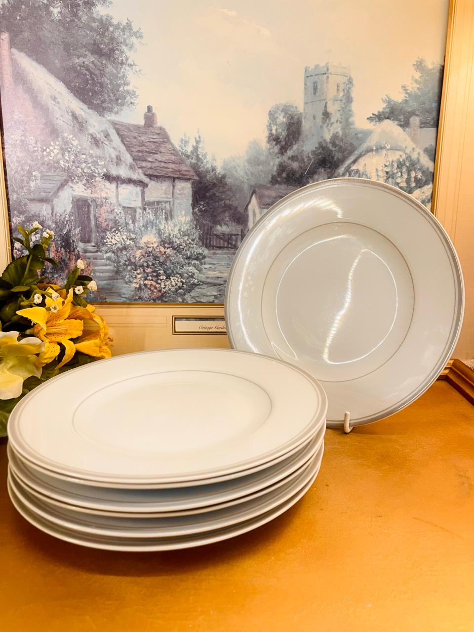 Set of 6 Minimalist Medium Plate Set Classic White Rim