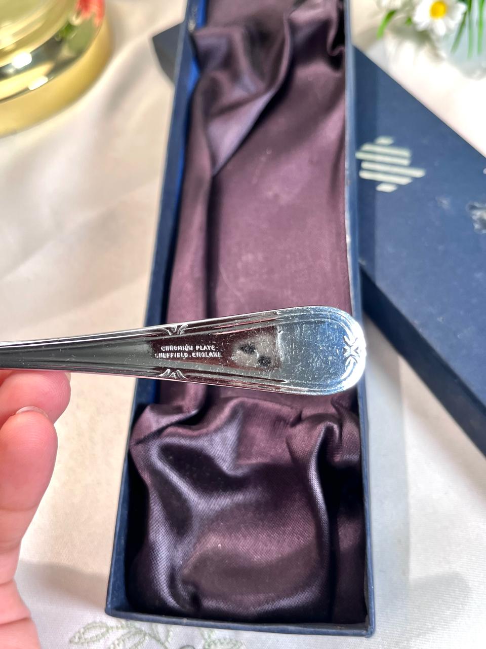 Silver-Tone Cake Server with Presentation Box – 23 cm