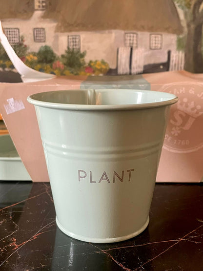 Spear & Jackson “Bud to Bloom” – Set of 3 Herb Planters with Tray (Mint/Sage Green) — England