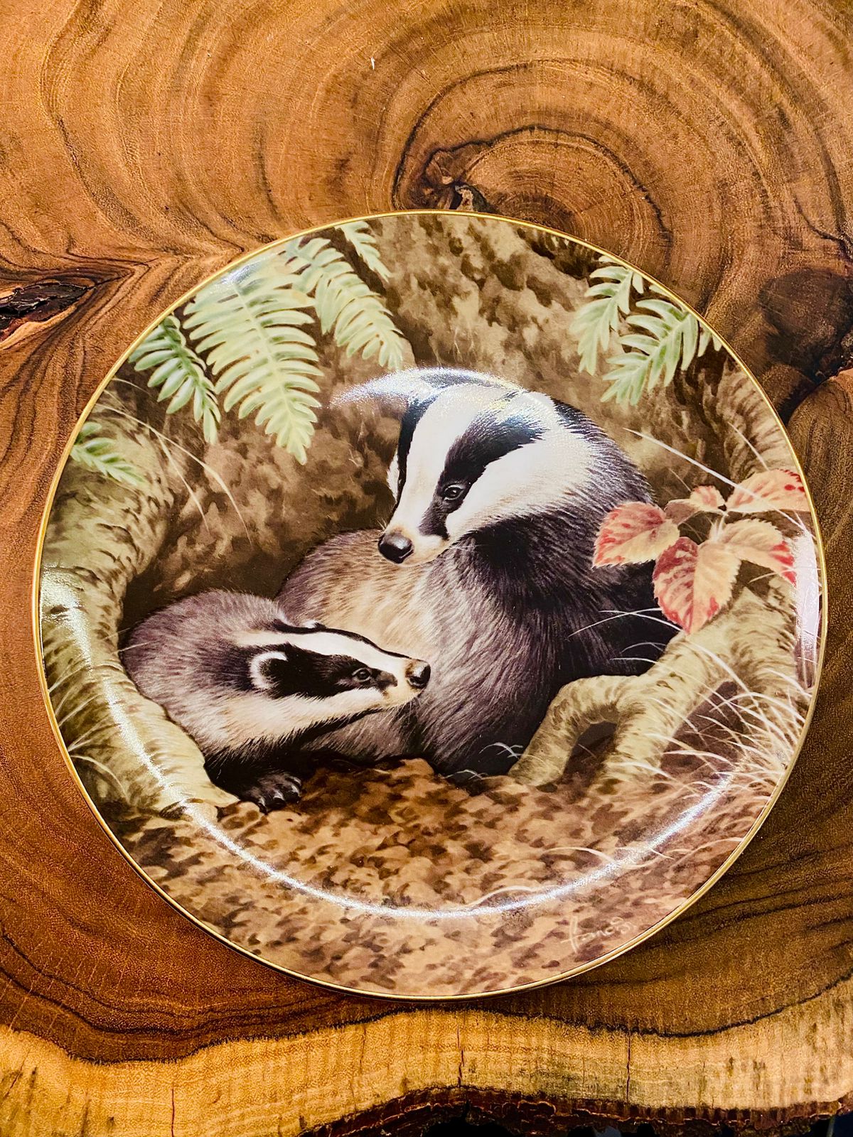 Vintage Badger Plate Forest Year June Ferns Porcelain 1983