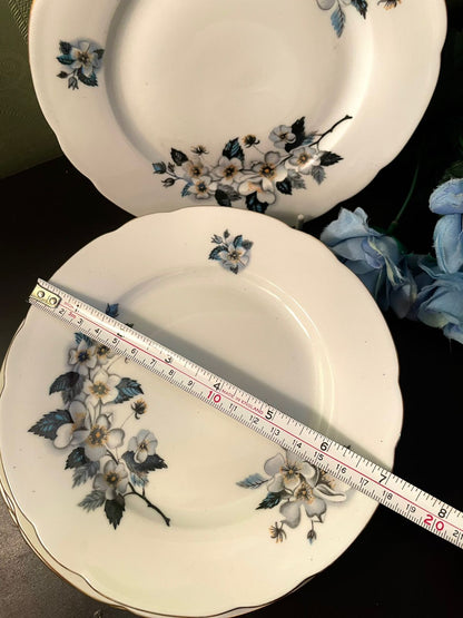 Vintage Blue Floral Fine China Side Plates Set of 6 – 7 Inch