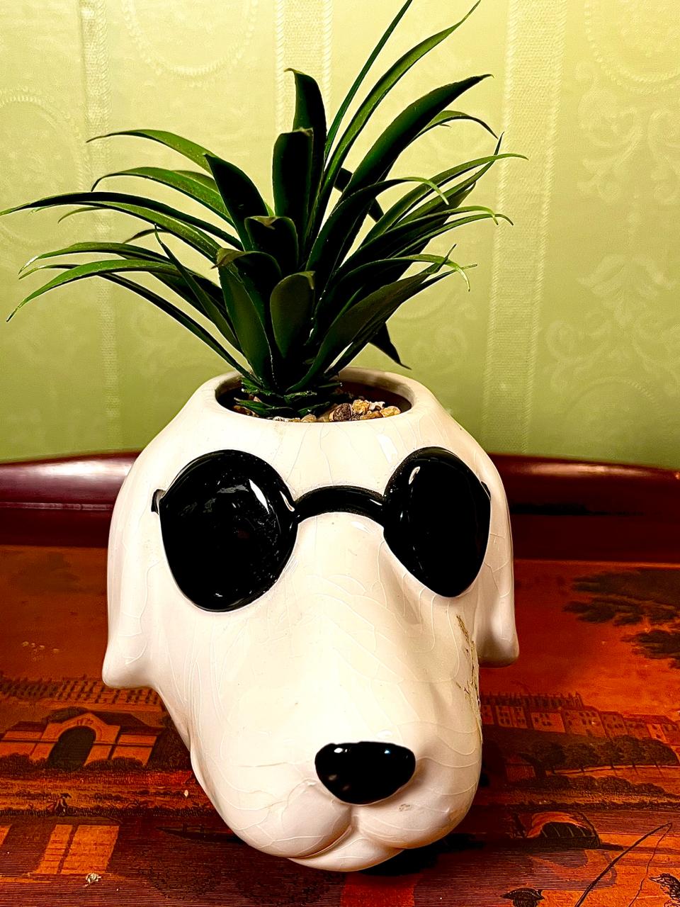 Dog with Sunglasses Ceramic Planter | Novelty Indoor Plant Pot | 5 Inch
