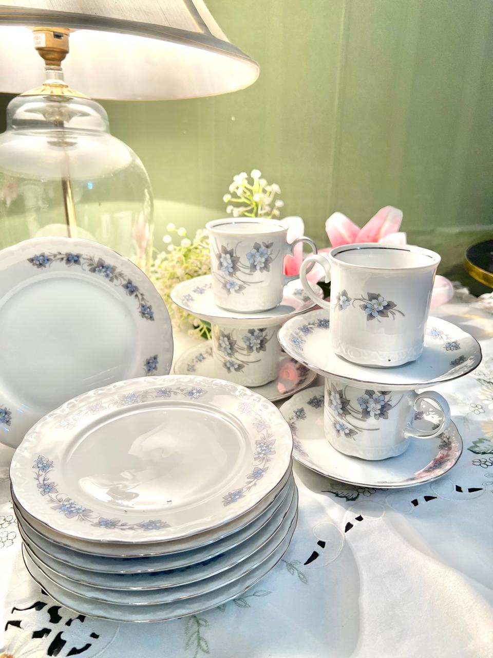 Mitterteich Bavaria Germany Blue Floral 14-Piece Cup & Plate Set