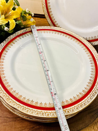 Salisbury Sarum Bone China Dinner Plates Set of 5