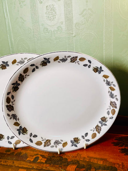 Myott Springwood Ironstone Autumn Leaf Serving Platers 10.5" – 2pc