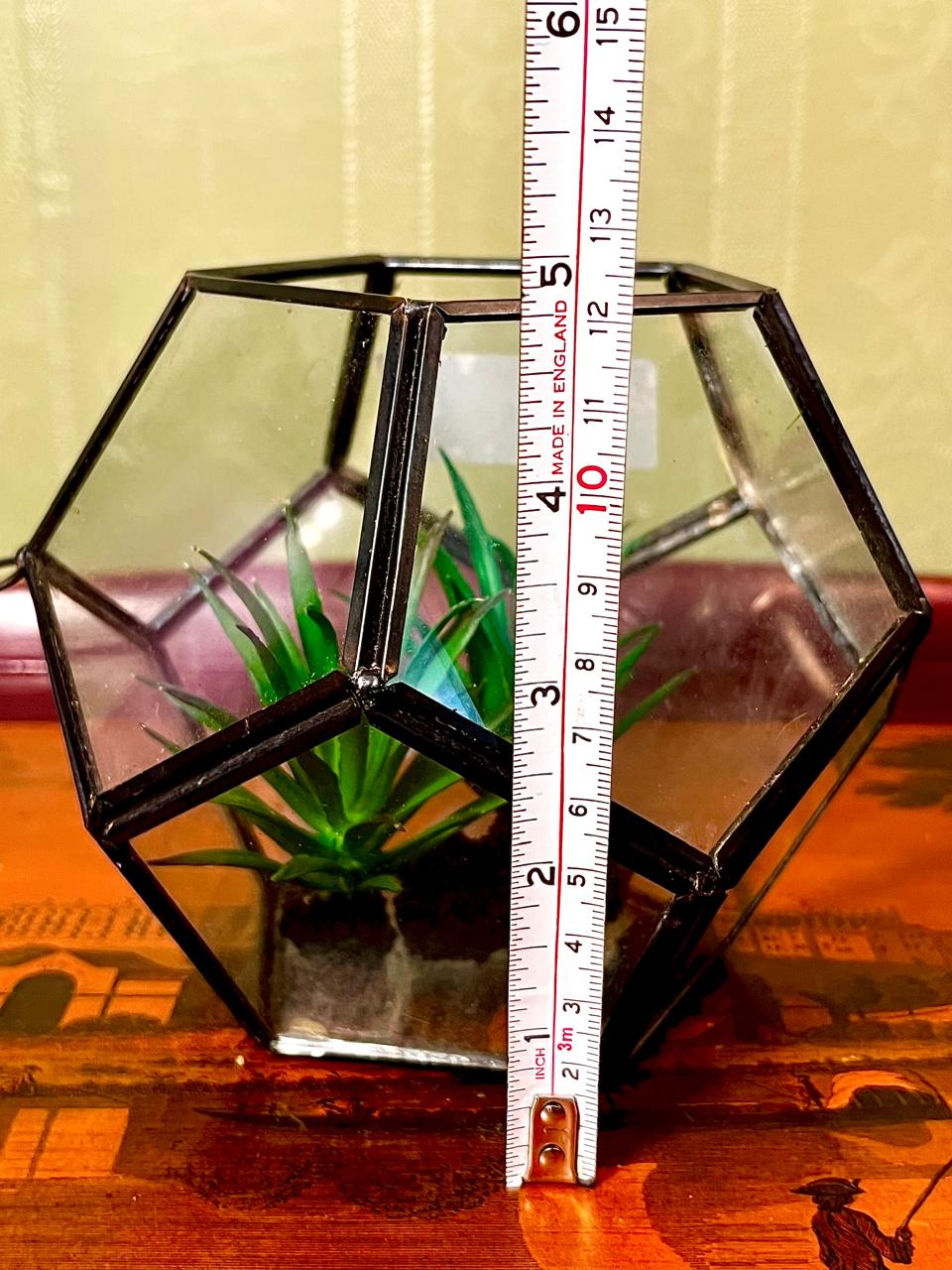 Geometric Glass Terrarium Planter | 5 Inch Modern Display Vase