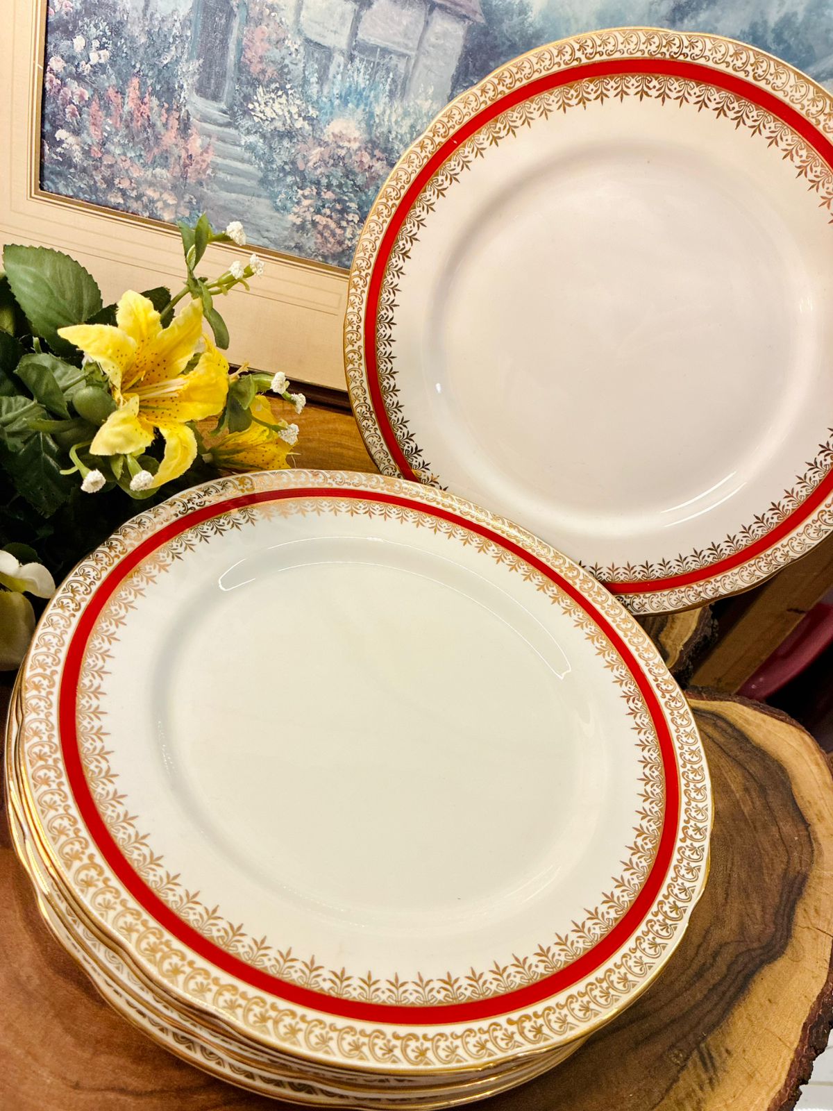 Salisbury Sarum Bone China Dinner Plates Set of 5