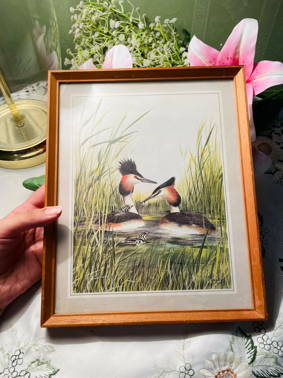 Waterbird Framed Print Wooden Frame Approx. 27 cm