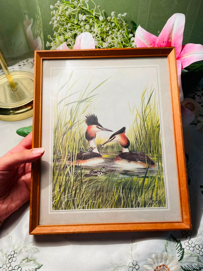 Waterbird Framed Print Wooden Frame Approx. 27 cm