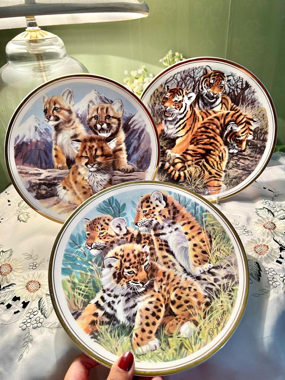 Royal Vale Tigers / Cheetas Wall Plates – 3 Piece Set, 9 Inch
