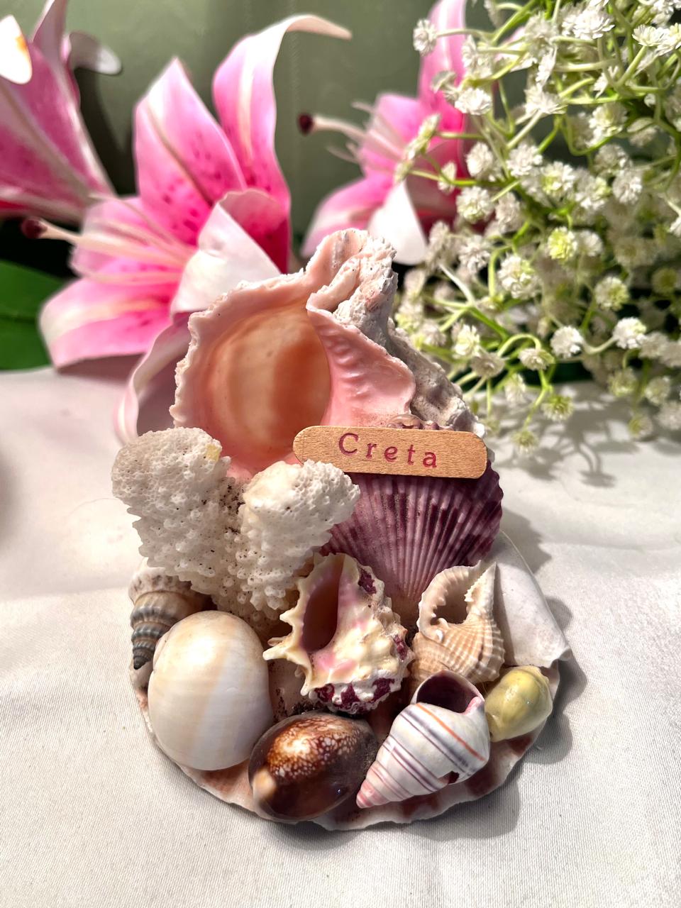 Creta Seashell & Coral Souvenir Decor 4 Inch