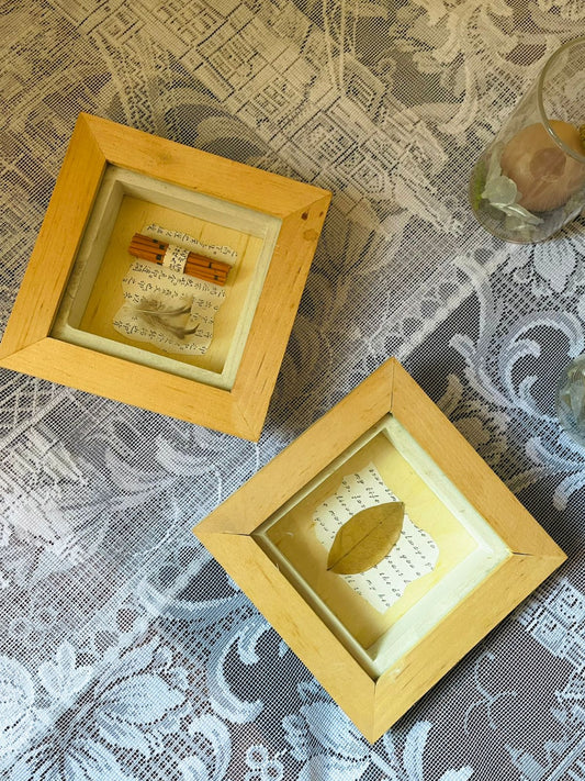 Set of 2 - Shadow-Box Wall Art Set – Natural Leaf & Feather Décor
