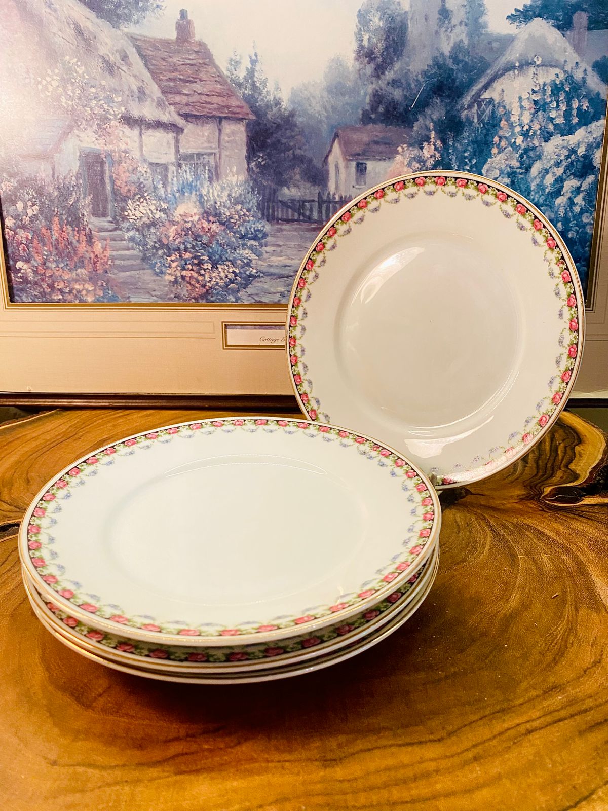 Vintage Pink Rose Border Plates Set of 4