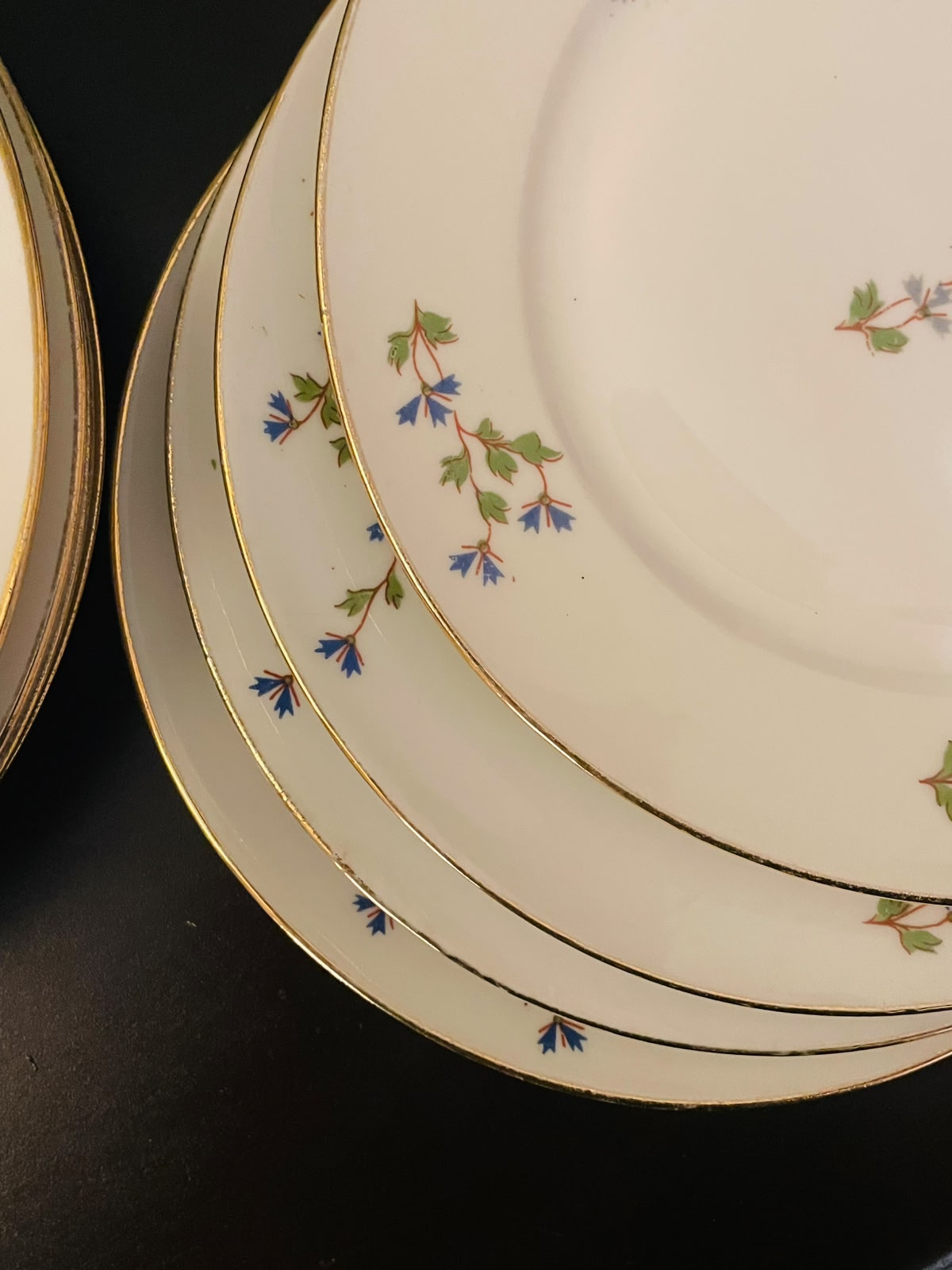Limoges Floral Porcelain Plate Set of 8 with Gold Trim