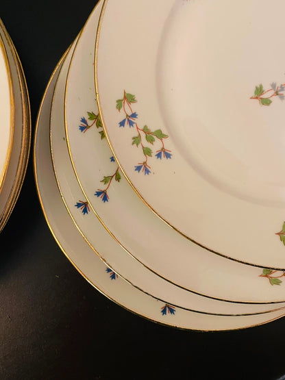 Limoges Floral Porcelain Plate Set of 8 with Gold Trim