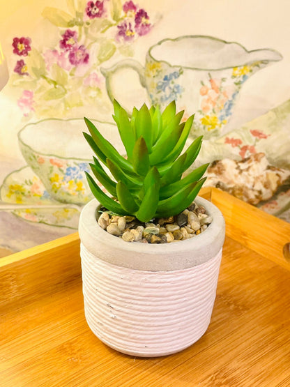 Artificial Succulent in White and Gray Pot – Faux Plant for Modern Decor