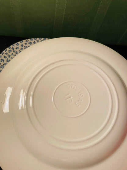 Vintage Blue Floral Dinner Plates Set Country Style