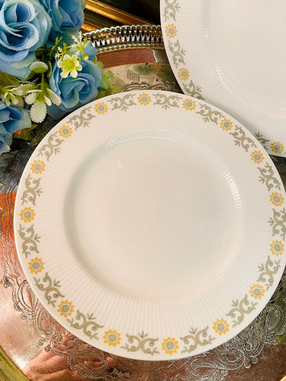 Vintage Paragon English Bone China Medium Plates – 5-Piece Set