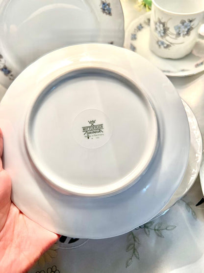 Mitterteich Bavaria Germany Blue Floral 14-Piece Cup & Plate Set