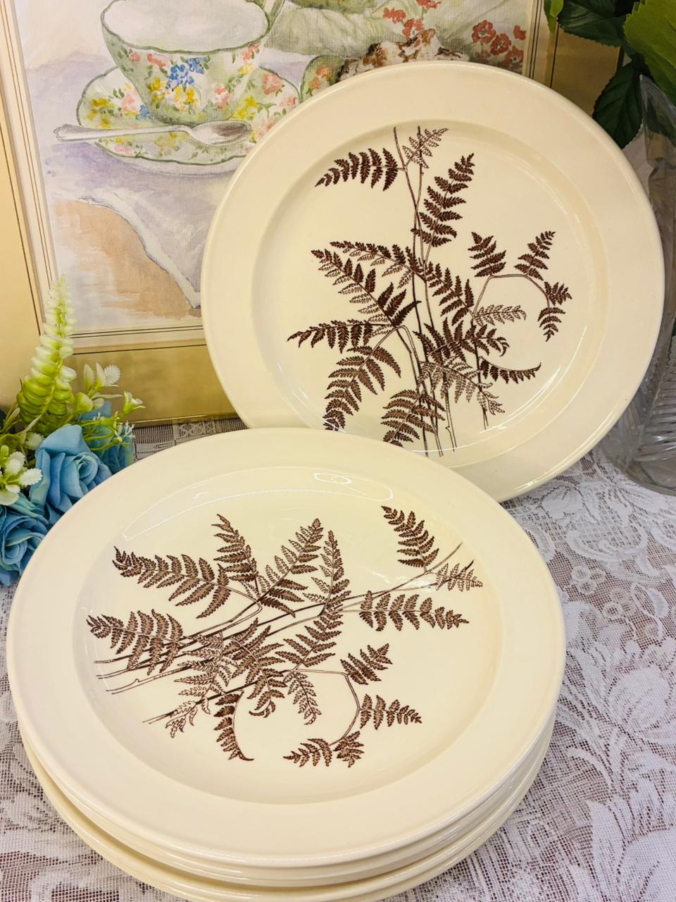 royal victoria plates, wild garden dinner plates, vintage english crockery, set of 6 dinner plates, botanical plates, fern design plates, cottagecore dinnerware, made in england plates, vintage tableware, classic english dining