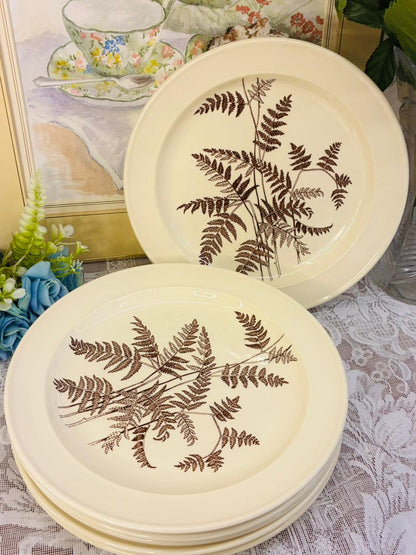 royal victoria plates, wild garden dinner plates, vintage english crockery, set of 6 dinner plates, botanical plates, fern design plates, cottagecore dinnerware, made in england plates, vintage tableware, classic english dining