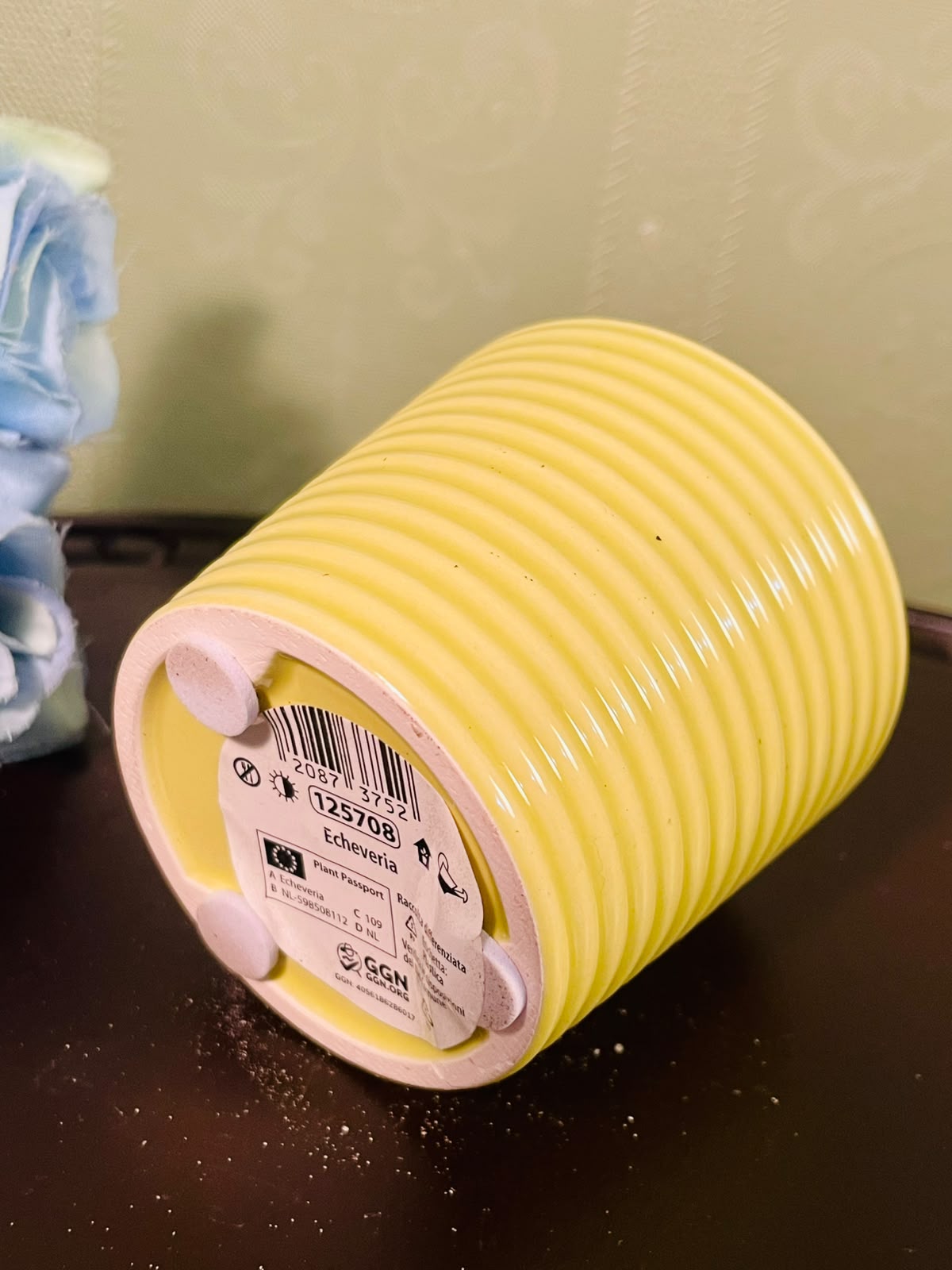 Yellow Ribbed Ceramic Mini Planter – 3 Inch