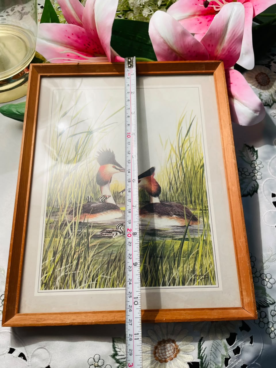 Waterbird Framed Print Wooden Frame Approx. 27 cm