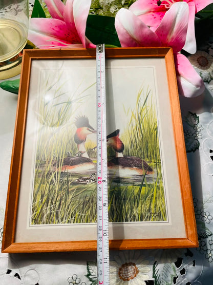 Waterbird Framed Print Wooden Frame Approx. 27 cm