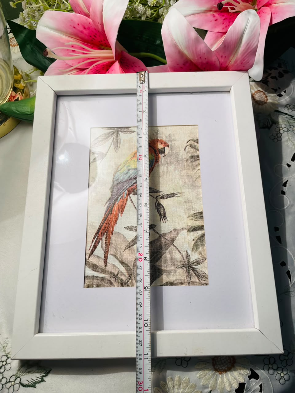 Parrot Framed Art White Frame Approx. 27 cm