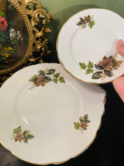 Royal Stafford Beechwood Bone China Cake Set with Serving Platter
