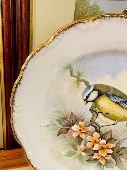 Royal Albert Woodland Birds Collection “Blue Titmouse” Art Plate – Bone China – 1982