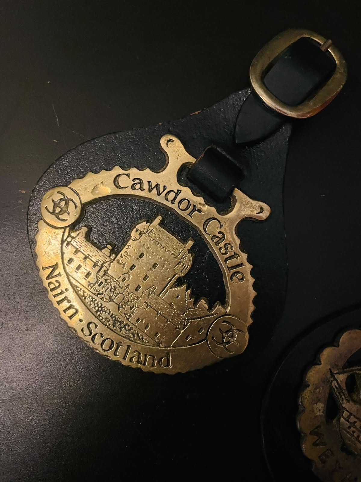 Vintage Brass Souvenir Horse Brasses Set of 2
