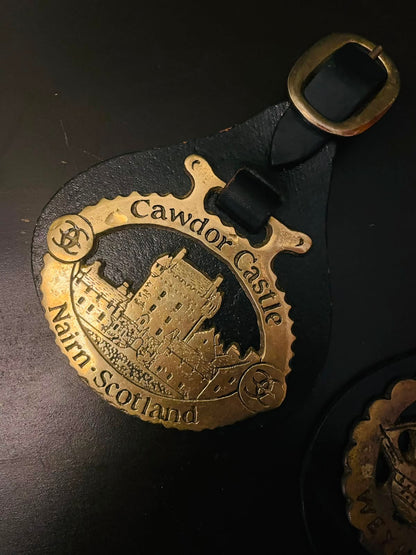 Vintage Brass Souvenir Horse Brasses Set of 2