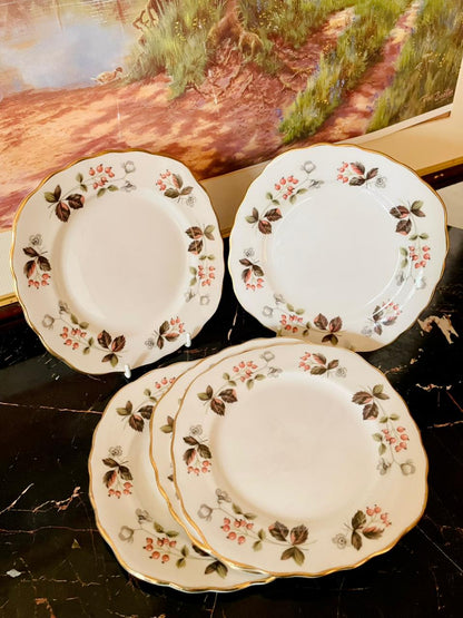 Set of 5 Colclough Bone China Plates – Red Berry & Gold Rim (England)