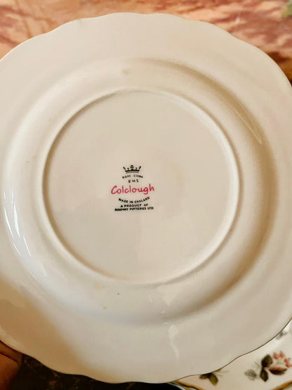 Set of 5 Colclough Bone China Plates – Red Berry & Gold Rim (England)