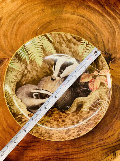 Vintage Badger Plate Forest Year June Ferns Porcelain 1983